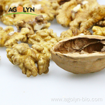 White and abmber walnut kernel from premium walnut